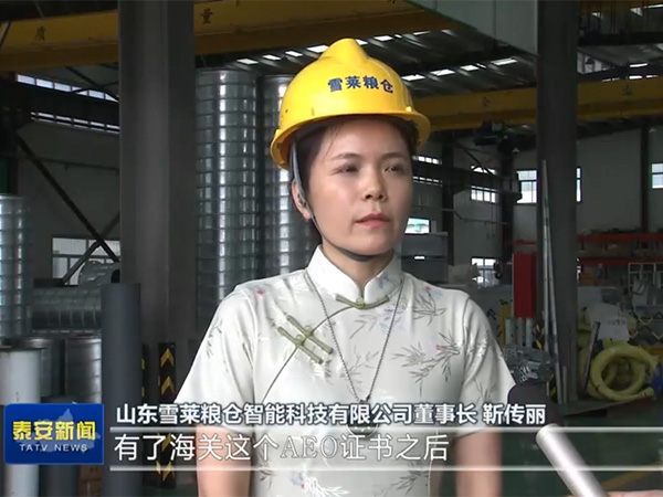 緊跟政策風(fēng)向，把握跨海之帆-雪萊將以滿腔熱情讓世界愛上中國造